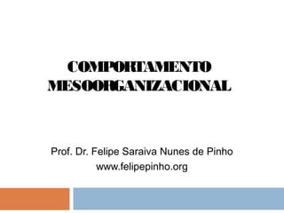 COMPORTAMENTO
MESOORGANIZACIONAL
Prof. Dr. Felipe Saraiva Nunes de Pinho
www.felipepinho.org
 