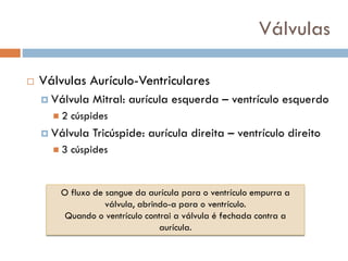 Válvulas
 Válvulas Aurículo-Ventriculares
 Válvula Mitral: aurícula esquerda – ventrículo esquerdo
◼ 2 cúspides
 Válvula Tricúspide: aurícula direita – ventrículo direito
◼ 3 cúspides
O fluxo de sangue da aurícula para o ventrículo empurra a
válvula, abrindo-a para o ventrículo.
Quando o ventrículo contrai a válvula é fechada contra a
aurícula.
 