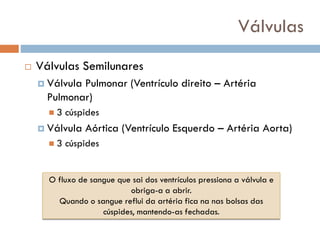 Válvulas
 Válvulas Semilunares
 Válvula Pulmonar (Ventrículo direito – Artéria
Pulmonar)
◼ 3 cúspides
 Válvula Aórtica (Ventrículo Esquerdo – Artéria Aorta)
◼ 3 cúspides
O fluxo de sangue que sai dos ventrículos pressiona a válvula e
obriga-a a abrir.
Quando o sangue reflui da artéria fica na nas bolsas das
cúspides, mantendo-as fechadas.
 