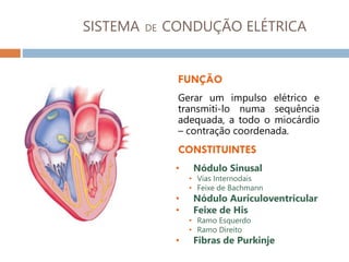 SISTEMA DE CONDUÇÃO ELÉTRICA
FUNÇÃO
Gerar um impulso elétrico e
transmiti-lo numa sequência
adequada, a todo o miocárdio
– contração coordenada.
CONSTITUINTES
• Nódulo Sinusal
• Vias Internodais
• Feixe de Bachmann
• Nódulo Auriculoventricular
• Feixe de His
• Ramo Esquerdo
• Ramo Direito
• Fibras de Purkinje
 