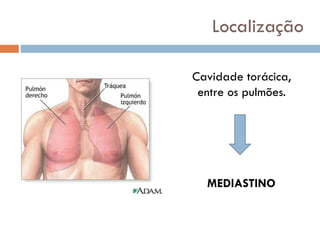 Localização
Cavidade torácica,
entre os pulmões.
MEDIASTINO
 