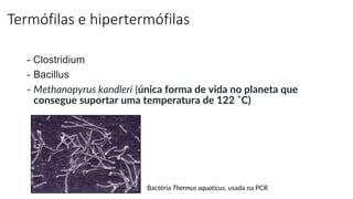 Termófilas e hipertermófilas
- Clostridium
- Bacillus
- Methanopyrus kandleri (única forma de vida no planeta que
consegue suportar uma temperatura de 122 ˚C)
Bactéria Thermus aquaticus, usada na PCR
 