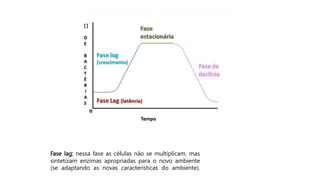 Fase lag: nessa fase as células não se multiplicam, mas
sintetizam enzimas apropriadas para o novo ambiente
(se adaptando as novas características do ambiente).
 