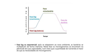 • Fase log ou exponencial: após se adaptarem ao novo ambiente, as bactérias se
multiplicam de forma intensiva. Nesta fase os microrganismos se encontram na
plenitude de suas capacidades, num meio que a quantidade de nutrientes é maior
do que as necessidades do microrganismo.
 
