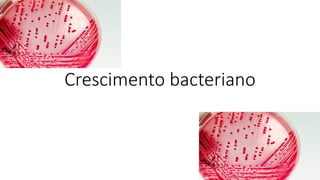Crescimento bacteriano
 