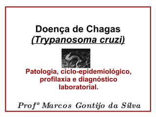 Doença de Chagas (Trypanosoma cruzi) Patologia, ciclo-epidemiológico, profilaxia e diagnóstico laboratorial. Prof° Marcos Gontijo da Silva 