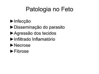 Patologia no Feto ► Infecção ► Disseminação do parasito ► Agressão dos tecidos ► Infiltrado Inflamatório ► Necrose  ► Fibrose 