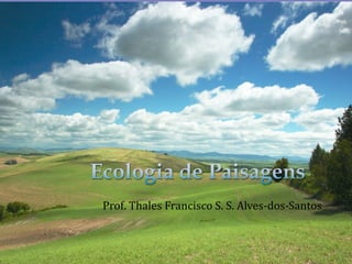 Prof. Thales Francisco S. S. Alves-dos-Santos 