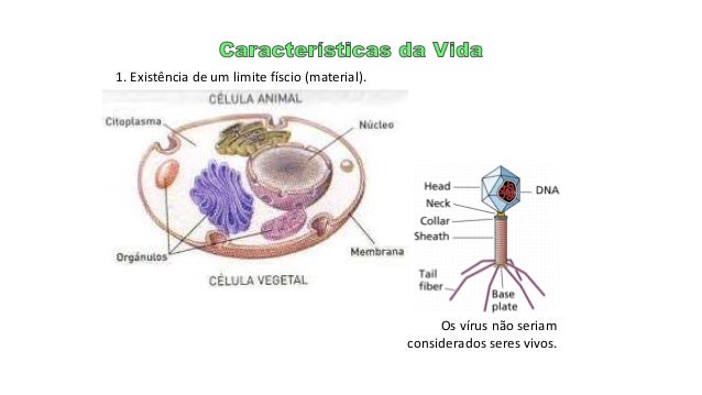 Desenvolvimento da termodinamica