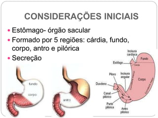 CONSIDERAÇÕES INICIAIS
 Estômago- órgão sacular
 Formado por 5 regiões: cárdia, fundo,
corpo, antro e pilórica
 Secreção
 