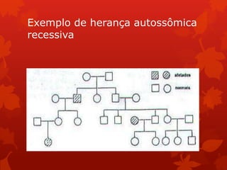 Exemplo de herança autossômica
recessiva
 