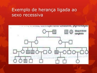 Exemplo de herança ligada ao
sexo recessiva
 