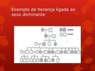Exemplo de herança ligada ao
sexo dominante
 