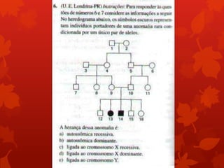 Aula 4 heredogramas