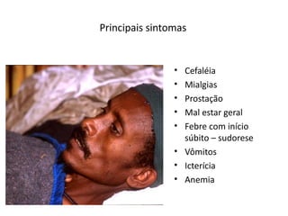Priicipais siitomas
• Cefaléia
• Mialgias
• Prostação
• Mal estar geral
• Febre com iiício
súbito – sudorese
• Vômitos
• Icterícia
• Aiemia
 
