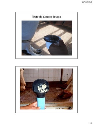 15/11/2014
11
Teste da Caneca Telada
 