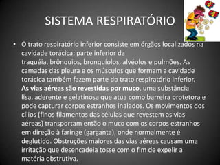 SISTEMA RESPIRATÓRIOO trato respiratório inferior consiste em órgãos localizados na cavidade torácica: parte inferior da traquéia, brônquios, bronquíolos, alvéolos e pulmões. As camadas das pleura e os músculos que formam a cavidade torácica também fazem parte do trato respiratório inferior. As vias aéreas são revestidas por muco, uma substância lisa, aderente e gelatinosa que atua como barreira protetora e pode capturar corpos estranhos inalados. Os movimentos dos cílios (finos filamentos das células que revestem as vias aéreas) transportam então o muco com os corpos estranhos em direção à faringe (garganta), onde normalmente é deglutido. Obstruções maiores das vias aéreas causam uma irritação que desencadeia tosse com o fim de expelir a matéria obstrutiva.