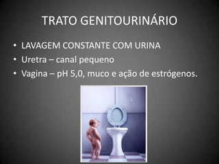 TRATO GENITOURINÁRIOLAVAGEM CONSTANTE COM URINAUretra – canal pequenoVagina – pH 5,0, muco e ação de estrógenos.