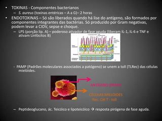 TOXINAS - Componentes bacterianosS. aureus (toxinas entéricas – A a G)– 2 horasENDOTOXINAS – Só são liberados quando há lise do antígeno, são formados por componentes integrantes das bactérias. Só produzido por Gram negativas, podem levar a CIDV, sepse e choque.LPS (porção lip. A) – poderoso ativador de fase aguda (liberam IL-1, IL-6 e TNF e ativam Linfócitos B)-  PAMP (Padrões moleculares associados a patógeno) se unem a toll (TLRec) das células mielóides.                                                                                   ANTÍGENO (PAMP) 						   CÉLULAS MIELÓIDES Rec. Cél T - tollPeptideoglucano, ác. Teicóico e lipoteicóico resposta pirógena de fase aguda.
