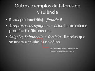 Outros exemplos de fatores de virulência E. coli(pielonefritis) - fimbria P.Streptococcuspyogenes– ácido lipoteicoico e proteína F + fibronectina.Shigella, Salmonellae Yersinia- fimbrias que se unem a células M do cólon.Podem atravessar a mucosa e causar infecção sistêmica
