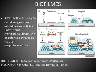 BIOFILMESBIOFILMES – Associação de microrganismos aderidos à superfícies. Ecossistema estruturado, dinâmico e coordenado através de matriz exopolissacarídica.BIOFILMES – Infecções recorrentes. Podem ser 1000X MAIS RESISTENTES que formas solitárias.