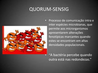 QUORUM-SENSIGProcesso de comunicação intra e inter espécies microbianas, que permite aos microrganismos apresentarem alterações fenotípicas marcantes quando estes se encontram em altas densidades populacionais. “A bactéria percebe quando outra está nas redondezas.”