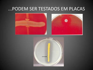 ...PODEM SER TESTADOS EM PLACAS