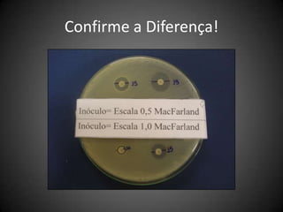 Teste de sensibilidade aos antimicrobianosBactéria e Preparo do Inóculo Suspensão direta