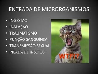 ENTRADA DE MICRORGANISMOSINGESTÃOINALAÇÃOTRAUMATISMOPUNÇÃO SANGUÍNEATRANSMISSÃO SEXUALPICADA DE INSETOS