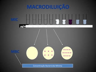 TESTE DE DIFUSÃO EM ÁGARAplicação dos discos  Bateria pré determinada