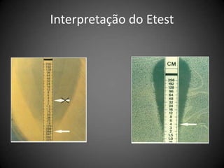   Atmosfera		  atm ambienteexceção Haemoplilus spp., N. gonorrhoeae e estreptococos:  CO2Obs.P/ S. maltophilia, B. cepacea, Streptococcus spp, Leitura de OXA e VAN para Staphylococcus – 20 a 24h de incubaçãoTESTE DE DIFUSÃO EM ÁGARPrincípio do método