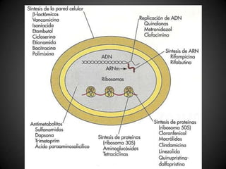 Interpretação do Etest
