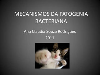 MECANISMOS DA PATOGENIA BACTERIANA Ana Claudia Souza Rodrigues 2011 