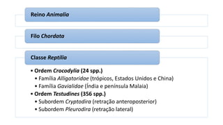 Reino Animalia
Filo Chordata
• Ordem Crocodylia (24 spp.)
• Família Alligatoridae (trópicos, Estados Unidos e China)
• Família Gavialidae (Índia e península Malaia)
• Ordem Testudines (356 spp.)
• Subordem Cryptodira (retração anteroposterior)
• Subordem Pleurodira (retração lateral)
Classe Reptilia
 