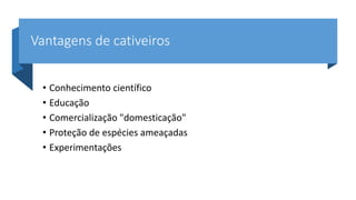 Vantagens de cativeiros
• Conhecimento científico
• Educação
• Comercialização "domesticação"
• Proteção de espécies ameaçadas
• Experimentações
 