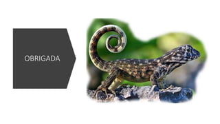 OBRIGADA
 