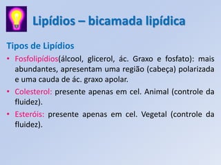 Lipídios – bicamada lipídica
Tipos de Lipídios
• Fosfolipídios(álcool, glicerol, ác. Graxo e fosfato): mais
  abundantes, apresentam uma região (cabeça) polarizada
  e uma cauda de ác. graxo apolar.
• Colesterol: presente apenas em cel. Animal (controle da
  fluidez).
• Esteróis: presente apenas em cel. Vegetal (controle da
  fluidez).
 