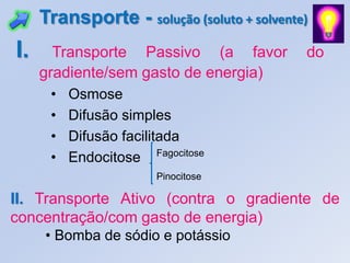 Transporte - solução (soluto + solvente)
I.     Transporte Passivo (a favor          do
     gradiente/sem gasto de energia)
      •   Osmose
      •   Difusão simples
      •   Difusão facilitada
      •   Endocitose Fagocitose
                       Pinocitose

II. Transporte Ativo (contra o gradiente de
concentração/com gasto de energia)
     • Bomba de sódio e potássio
 