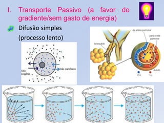 I.   Transporte Passivo (a favor do
     gradiente/sem gasto de energia)
     Difusão simples
     (processo lento)
 