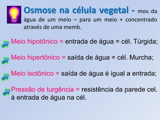 Osmose na célula vegetal -           mov. da
    água de um meio – para um meio + concentrado
    através de uma memb.

Meio hipotônico = entrada de água = cél. Túrgida;

Meio hipertônico = saída de água = cél. Murcha;

Meio isotônico = saída de água é igual a entrada;

Pressão de turgência = resistência da parede cel.
à entrada de água na cél.
 