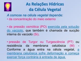 As Relações Hídricas
             da Célula Vegetal
A osmose na célula vegetal depende:
• da concentração do meio externo

• da pressão osmótica (PO) exercida pela solução
do vacúolo, que também é chamada de sucção
interna do vacúolo (Si).

• pressão de Turgor ou Turgescência (PT) ou
resistência da membrana celulósica (M) -
Conforme a água entra na célula vegetal, a
membrana celulósica sofre deformação e começa
exercer força contrária à entrada de água.
 