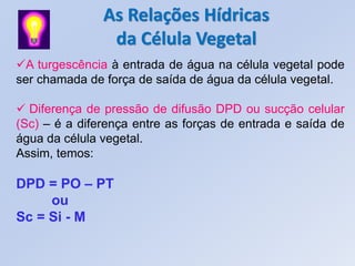 As Relações Hídricas
                da Célula Vegetal
A turgescência à entrada de água na célula vegetal pode
ser chamada de força de saída de água da célula vegetal.

 Diferença de pressão de difusão DPD ou sucção celular
(Sc) – é a diferença entre as forças de entrada e saída de
água da célula vegetal.
Assim, temos:

DPD = PO – PT
     ou
Sc = Si - M
 