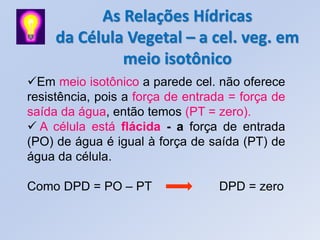 As Relações Hídricas
     da Célula Vegetal – a cel. veg. em
              meio isotônico
Em meio isotônico a parede cel. não oferece
resistência, pois a força de entrada = força de
saída da água, então temos (PT = zero).
 A célula está flácida - a força de entrada
(PO) de água é igual à força de saída (PT) de
água da célula.

Como DPD = PO – PT                DPD = zero
 