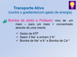 Transporte Ativo
(contra o gradiente/com gasto de energia)

Bomba de sódio e Potássio: mov. de um
    meio – para um meio + concentrado
    através de uma memb.
     Gasto de ATP
     Saem 3 Na+ e entram 2 K+
     Bomba de Na+ e K+ e Bomba de Ca++
 