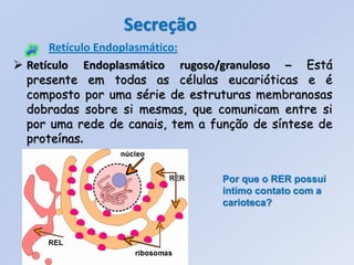 Secreção
      Retículo Endoplasmático:
 Retículo Endoplasmático rugoso/granuloso – Está
  presente em todas as células eucarióticas e é
  composto por uma série de estruturas membranosas
  dobradas sobre si mesmas, que comunicam entre si
  por uma rede de canais, tem a função de síntese de
  proteínas.


                                  Por que o RER possui
                                  íntimo contato com a
                                  carioteca?
 