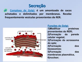 Secreção
    Complexo de Golgi: é um amontoado de sacos
achatados e delimitados por membranas. Recebe
frequentemente vesículas provenientes do RER.

                             Funções do Golgi:
                             1)Modificar      proteínas
                             provenientes do RER;
                             2)Formação da parede
                             celular vegetal;
                             3)Formação do acrossoma
                             do sptz;
                             4)Formação             dos
                             lisossomos;
                             5)Formação             das
                             membranas plasmática,
                             6)nuclear;
 