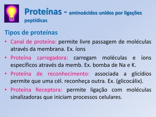 Proteínas - aminoácidos unidos por ligações
       peptídicas

Tipos de proteínas
• Canal de proteína: permite livre passagem de moléculas
  através da membrana. Ex. íons
• Proteína carregadora: carregam moléculas e íons
  específicos através da memb. Ex. bomba de Na e K.
• Proteína de reconhecimento: associada a glicídios
  permite que uma cél. reconheça outra. Ex. (glicocálix).
• Proteína Receptora: permite ligação com moléculas
  sinalizadoras que iniciam processos celulares.
 
