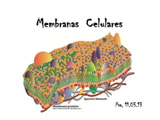 Membranas Celulares




                 Pva, 11.03.13
 