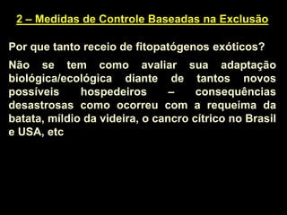 2 – Medidas de Controle Baseadas na Exclusão
Por que tanto receio de fitopatógenos exóticos?
Não se tem como avaliar sua adaptação
biológica/ecológica diante de tantos novos
possíveis hospedeiros – consequências
desastrosas como ocorreu com a requeima da
batata, míldio da videira, o cancro cítrico no Brasil
e USA, etc
 