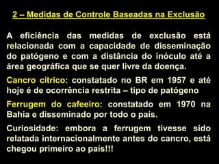 2 – Medidas de Controle Baseadas na Exclusão
A eficiência das medidas de exclusão está
relacionada com a capacidade de disseminação
do patógeno e com a distância do inóculo até a
área geográfica que se quer livre da doença.
Cancro cítrico: constatado no BR em 1957 e até
hoje é de ocorrência restrita – tipo de patógeno
Ferrugem do cafeeiro: constatado em 1970 na
Bahia e disseminado por todo o país.
Curiosidade: embora a ferrugem tivesse sido
relatada internacionalmente antes do cancro, está
chegou primeiro ao país!!!
 